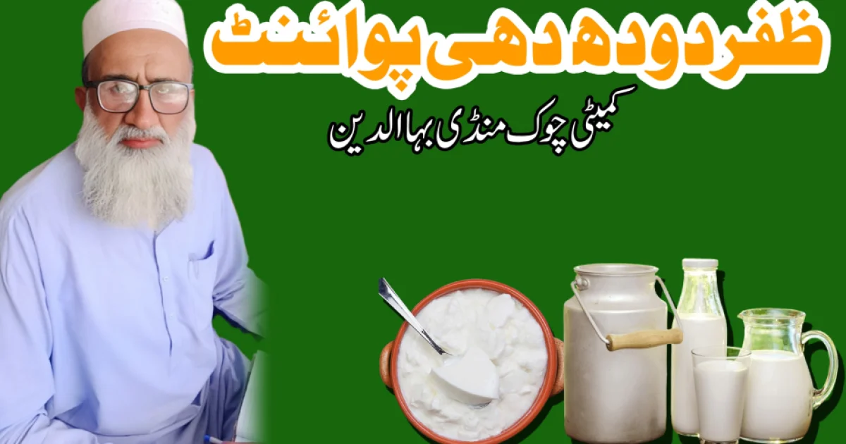 منڈی بہاؤالدین معیار اور بھروسے کا دوسرا نام ’ظفر دودھ دہی پوائنٹ‘ شہریوں کی پہلی پسند بن گیا