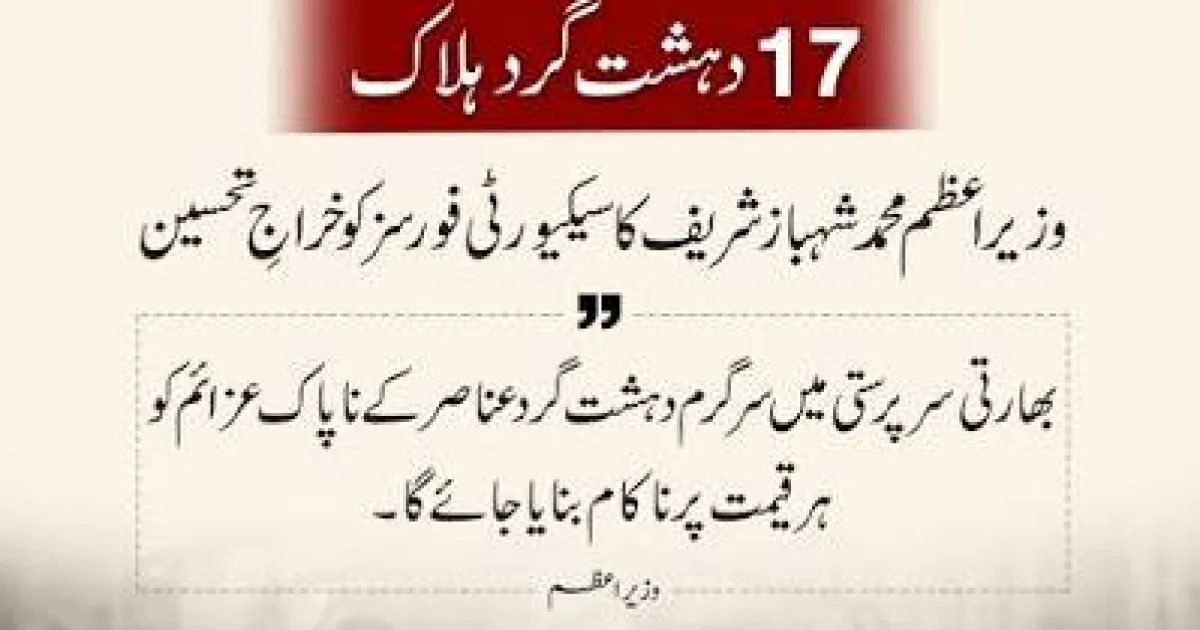 انسدادِ دہشت گردی آپریشنز کے دوران سیندک مائن کی سپلائی لائنز اور تنصیبات کے لیے اضافی سیکیورٹی فورسز تعینات