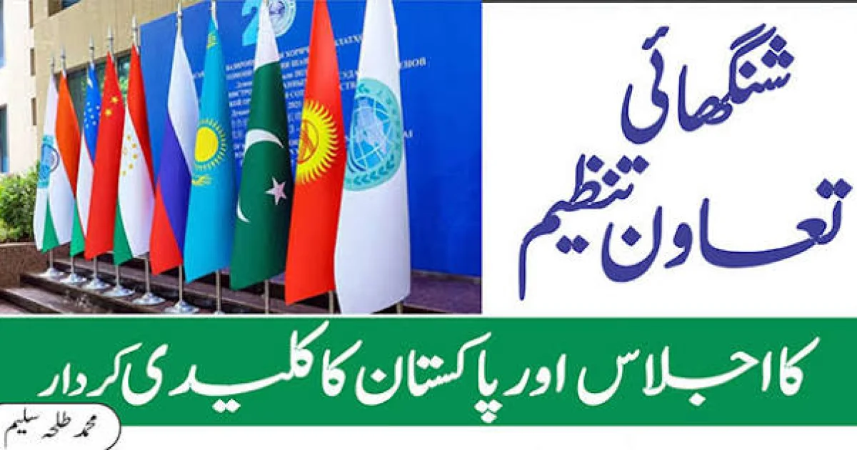 پاکستان اور شنگھائی تعاون تنظیم (SCO) کا مختلف شعبوں میں تعاون بڑھانے پر اتفاق