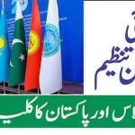 پاکستان اور شنگھائی تعاون تنظیم (SCO) کا مختلف شعبوں میں تعاون بڑھانے پر اتفاق