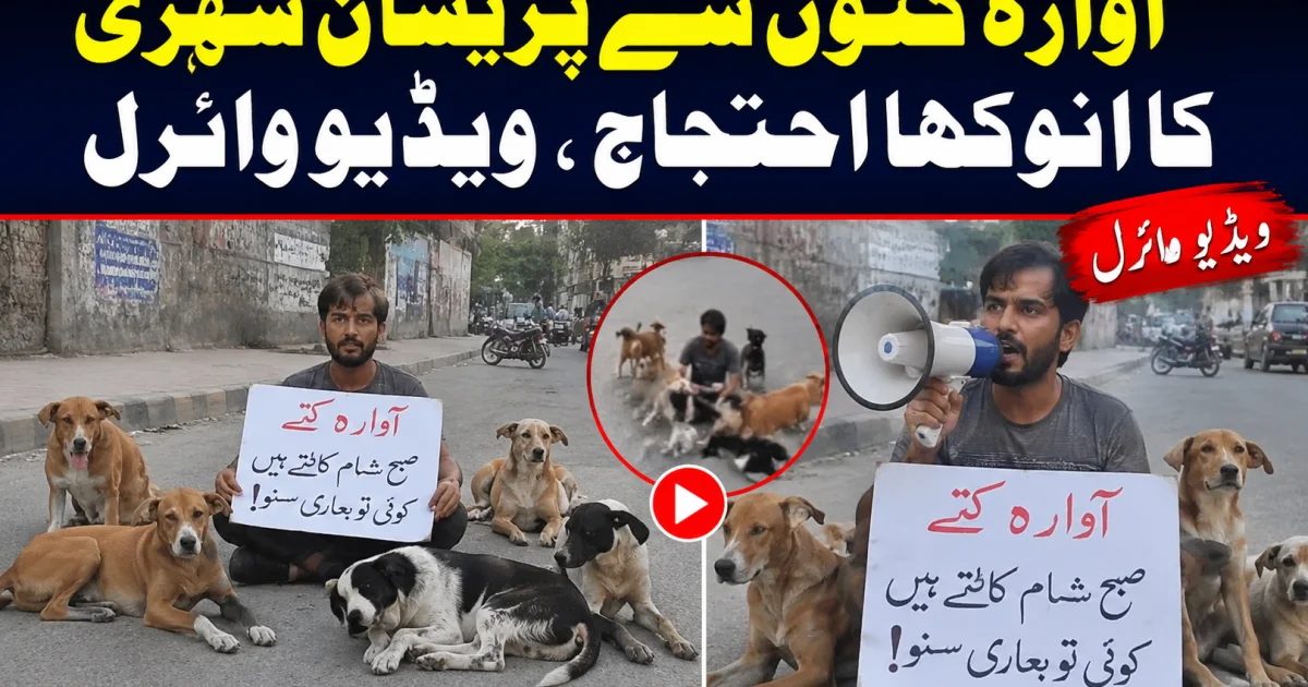 آوارہ کتوں سے پریشان شہری کا انوکھا احتجاج، ویڈیو وائرل