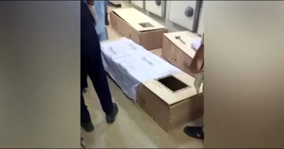 ہمیں 2 سوختہ لاشیں دی گئیں، ڈی این اے نہیں کرایا گیا، ماموں